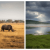Seasons in Lake Nakuru National Park: Month-by-Month Safari Guide