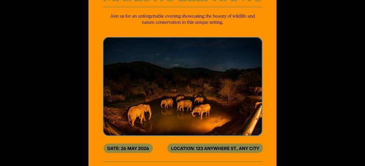 Aberdare National Park Safari