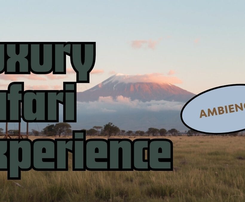 Amboseli 1 Night Vs 2 Nights