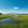 Amboseli Animals Month By Month Guide