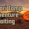 Amboseli Budget Safari Planning Guide