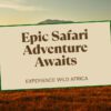 Amboseli Fly In Safari Guide