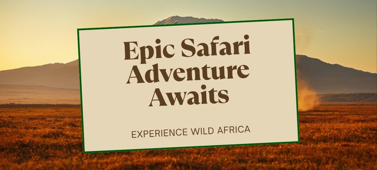 Amboseli Fly In Safari Guide