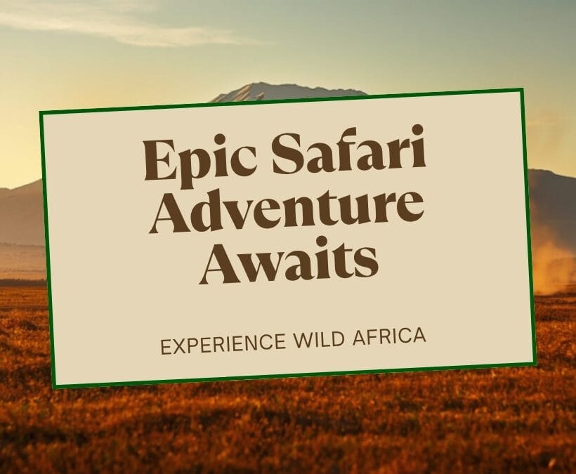 Amboseli Fly In Safari Guide