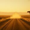 Amboseli From Emali Route Guide