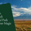 Amboseli In December