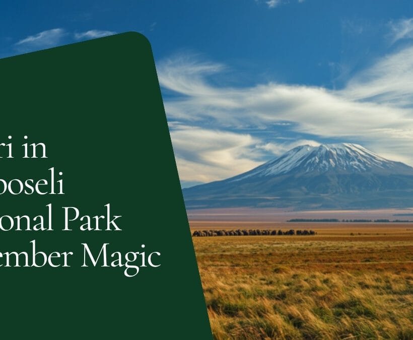 Amboseli In December