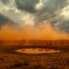 Amboseli In July