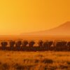 Amboseli In June
