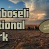 Amboseli In October