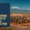 Amboseli In September