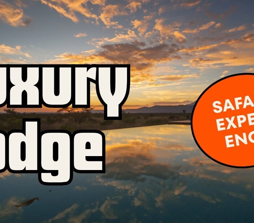 Amboseli Lodges Inside The Park