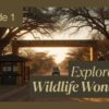 Amboseli Park Fees Guide