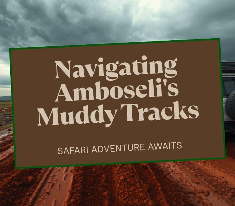 Amboseli Road Conditions Guide