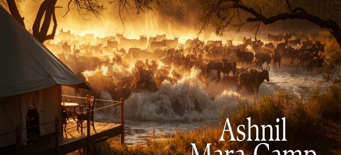 Ashnil Mara Camp accommodation setting in Maasai Mara, Kenya