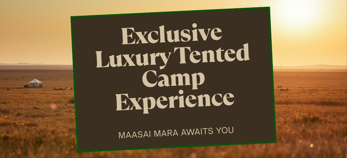 Basecamp Wilderness accommodation setting in Maasai Mara, Kenya