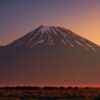 Best Time To Visit Amboseli For Kilimanjaro Views