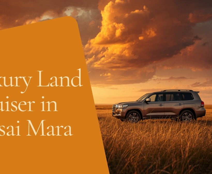 Wide savannah vista at golden hour with elephant silhouettes and Kilimanjaro in the background