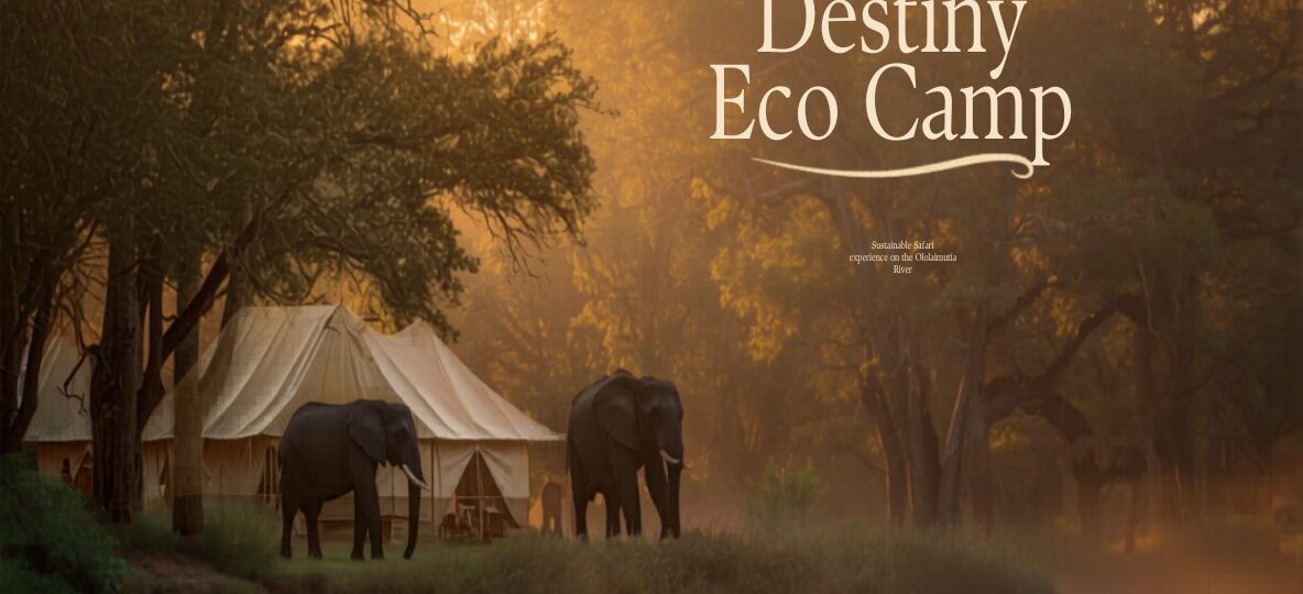 Destiny Eco Camp Mara accommodation setting in Maasai Mara, Kenya