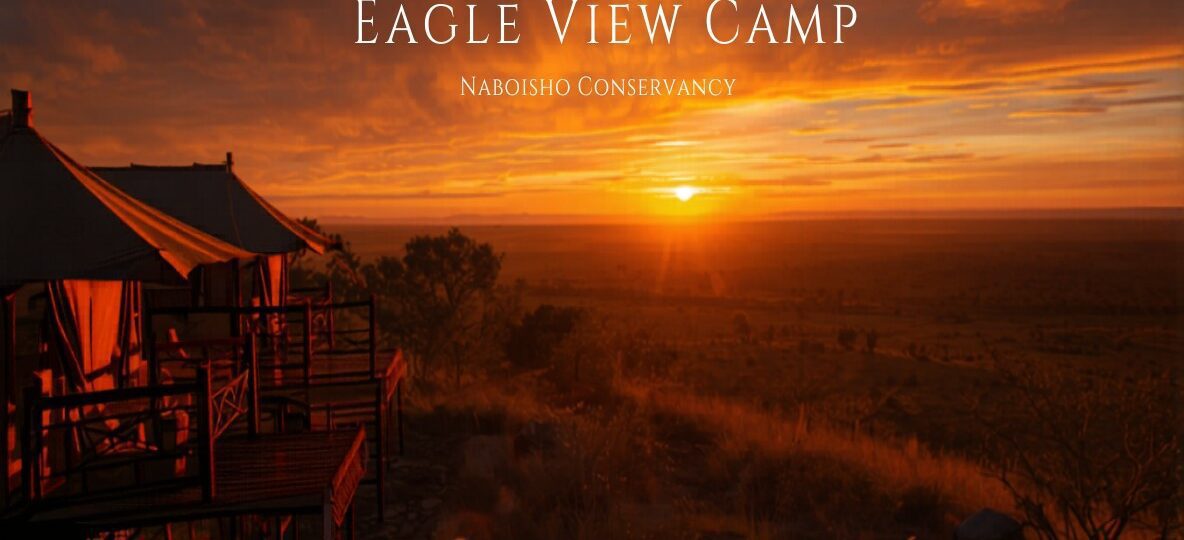 Eagle View Camp accommodation setting in Maasai Mara, Kenya