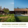 Eco Lodge Vs Classic Safari Lodge In Amboseli