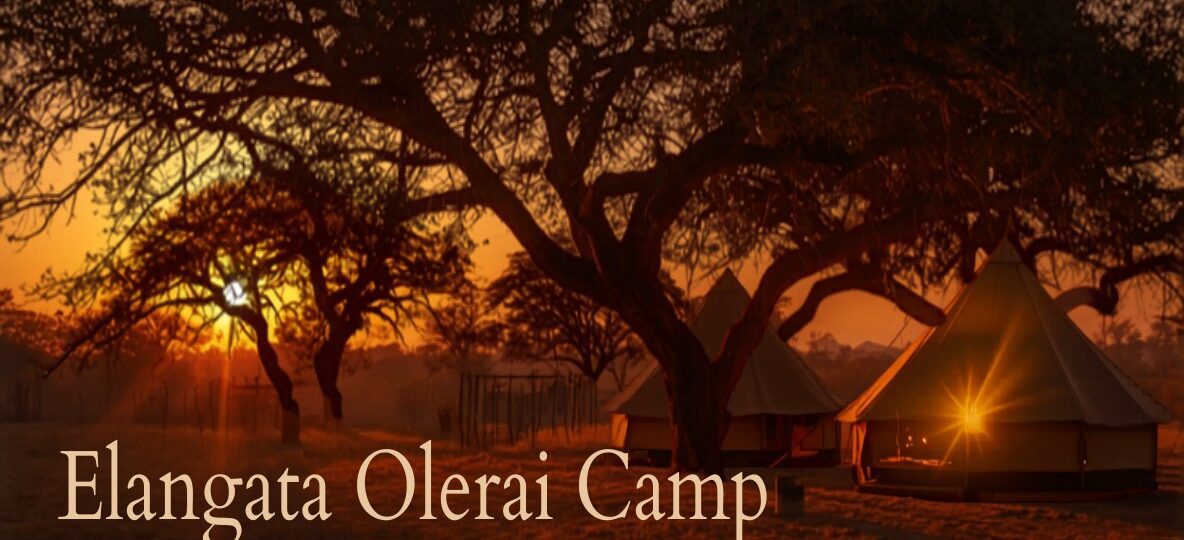 Elangata Olerai Camp accommodation setting in Maasai Mara, Kenya