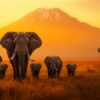 Elephant Family Herds Vs Big Tuskers In Amboseli