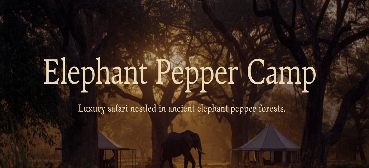 Elephant Pepper Camp accommodation setting in Maasai Mara, Kenya