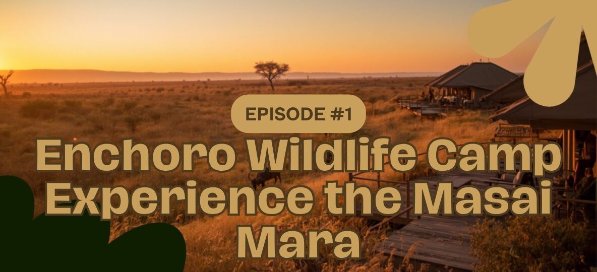 Enchoro Wildlife Camp accommodation setting in Maasai Mara, Kenya