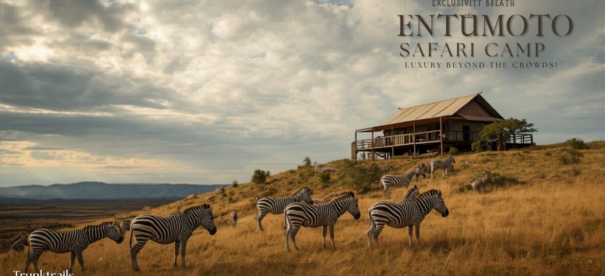 Entumoto Safari Camp accommodation setting in Maasai Mara, Kenya