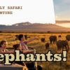 Family Friendly Camps In Amboseli