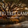 Fig Tree Camp (Ngamboli Tents) accommodation setting in Maasai Mara, Kenya