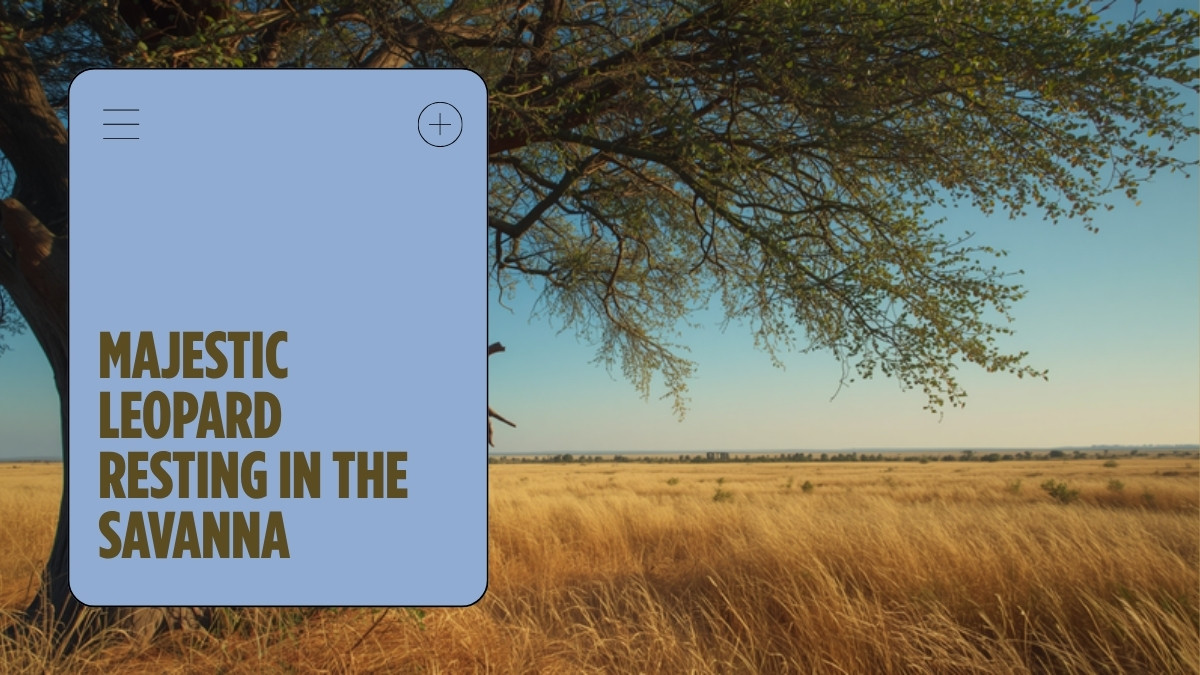 Great Migration Vs Resident Wildlife Masai Mara Guide