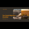 Great Migration Vs Resident Wildlife Masai Mara