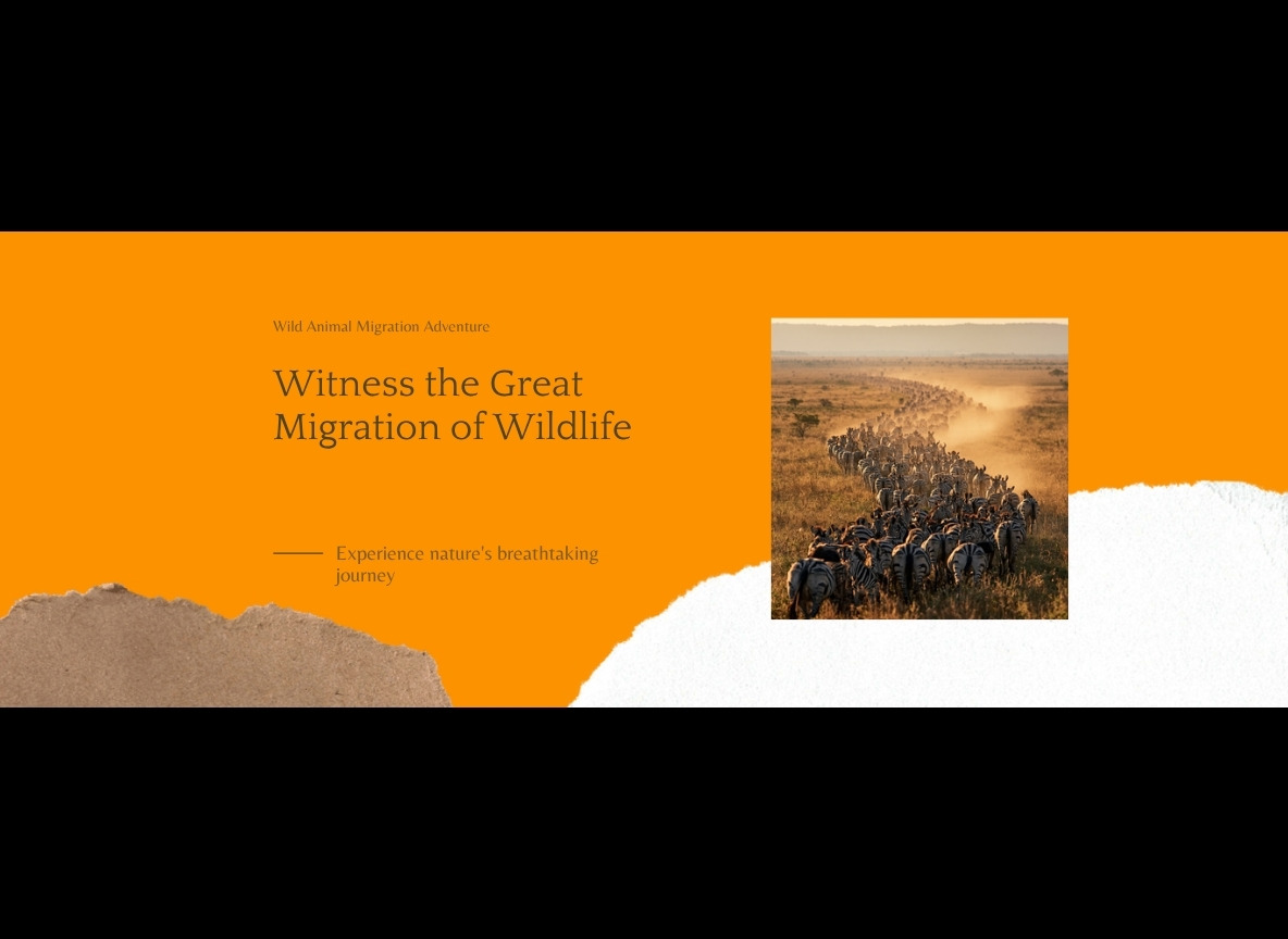 Great Migration Vs Resident Wildlife Masai Mara