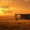 House in the Wild accommodation setting in Maasai Mara, Kenya