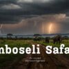 Is Amboseli Worth It In The Rainy Season