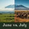 June Vs July In Amboseli
