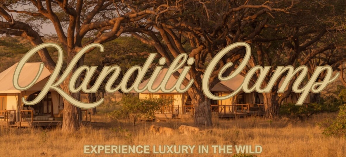 Kandili Camp accommodation setting in Maasai Mara, Kenya