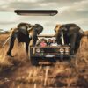 Kenya Family Safari Holidays Complete Guide