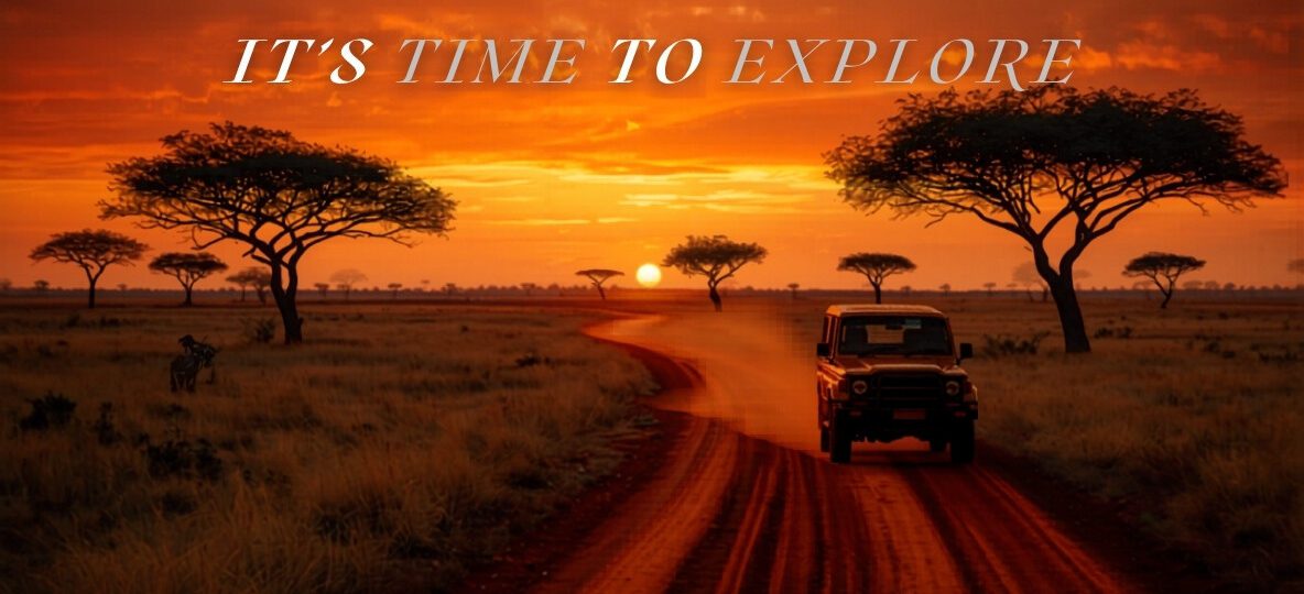 Kenya Safari Industry Fuel Price Response