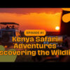 Safari vehicle on open savannah at dawn with golden light across the grass