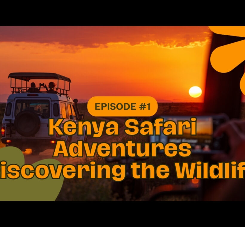 Safari vehicle on open savannah at dawn with golden light across the grass