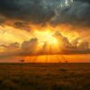 Kenya Weather Climate Guide Best Time To Visit