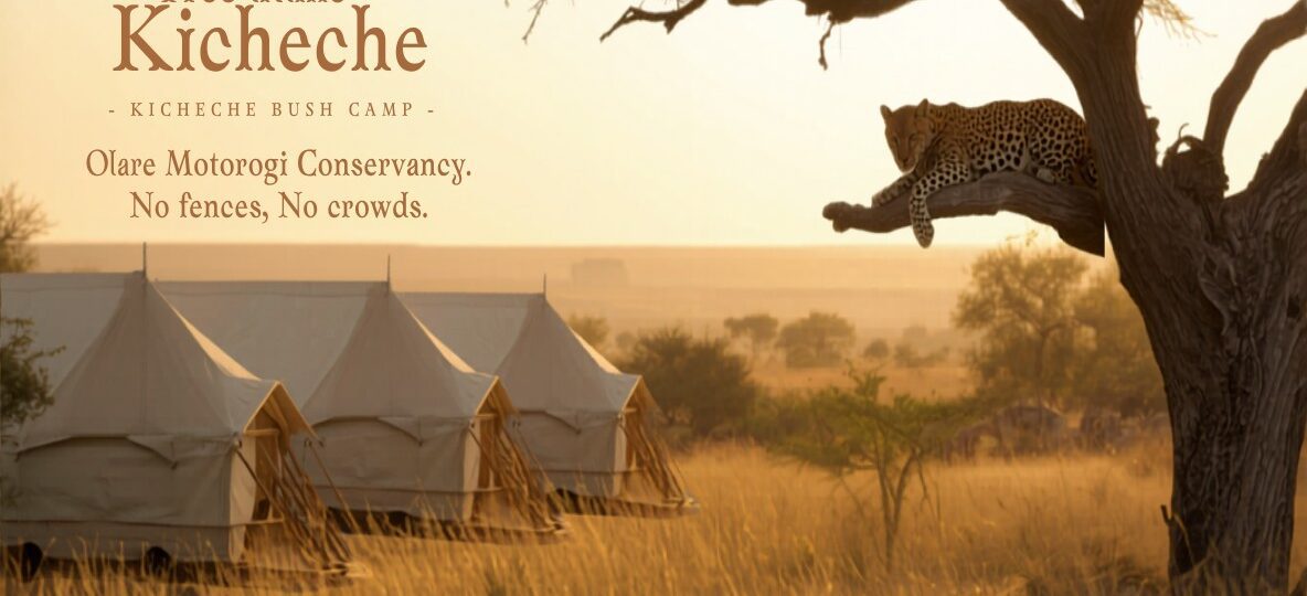 Kicheche Bush Camp accommodation setting in Maasai Mara, Kenya