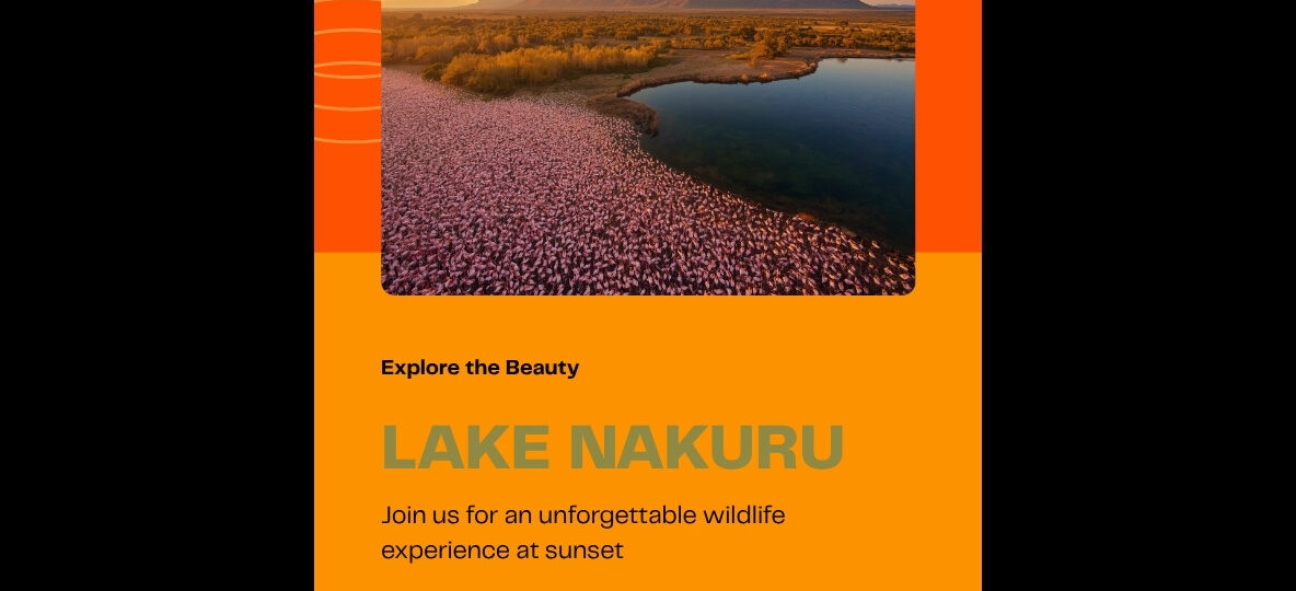 Lake Nakuru National Park Safari