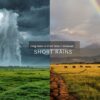 Long Rains Vs Short Rains In Amboseli