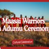 A group of Maasai warriors in red shukas performing the Adumu jumping dance at dawn on the Masai Mara plains