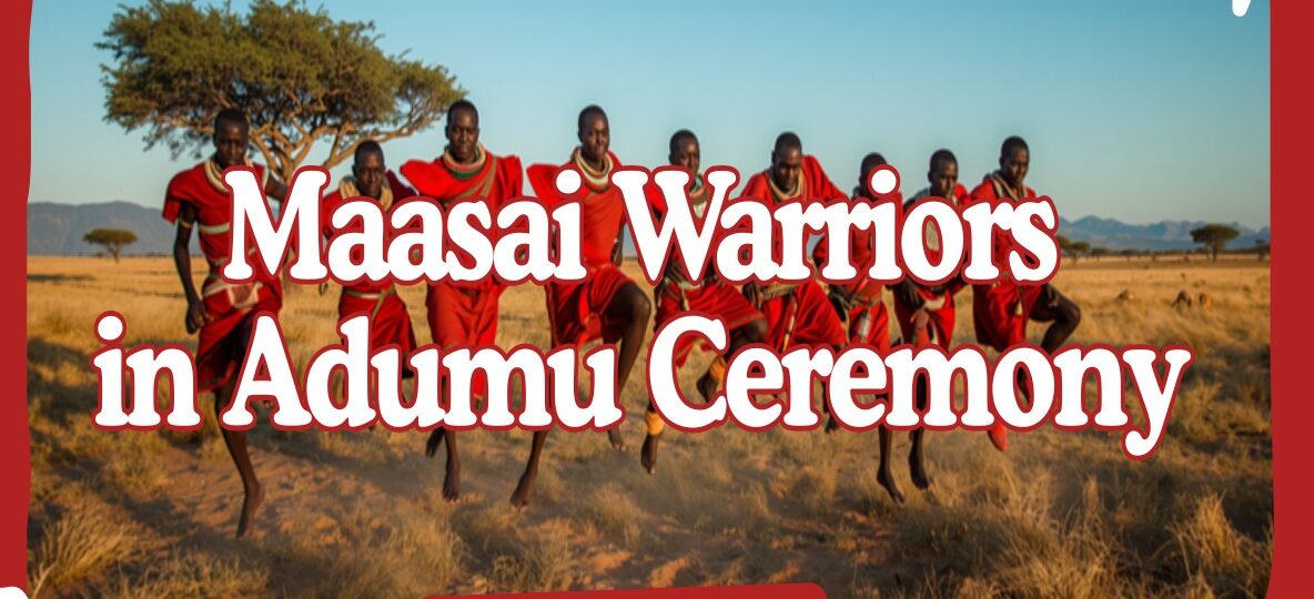 A group of Maasai warriors in red shukas performing the Adumu jumping dance at dawn on the Masai Mara plains