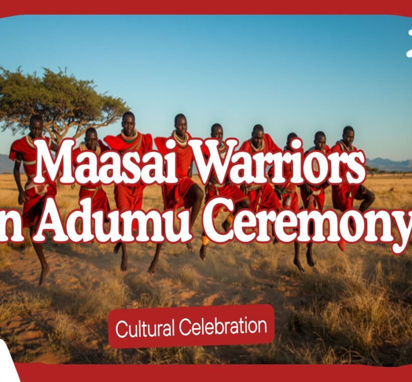 A group of Maasai warriors in red shukas performing the Adumu jumping dance at dawn on the Masai Mara plains